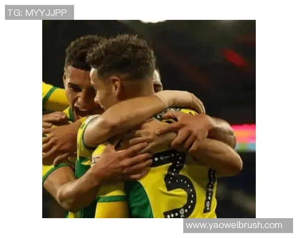 诺维奇主场迎战谢菲尔德联争夺英冠积分榜重要胜利